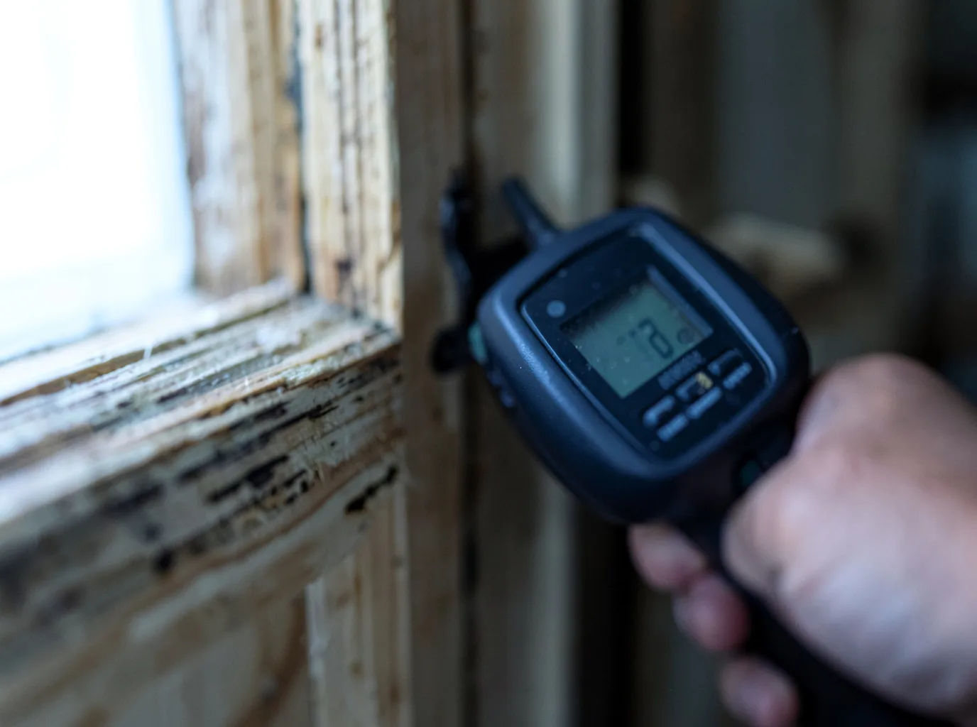 Moisture Inspection And Documentation in Heilwood, PA